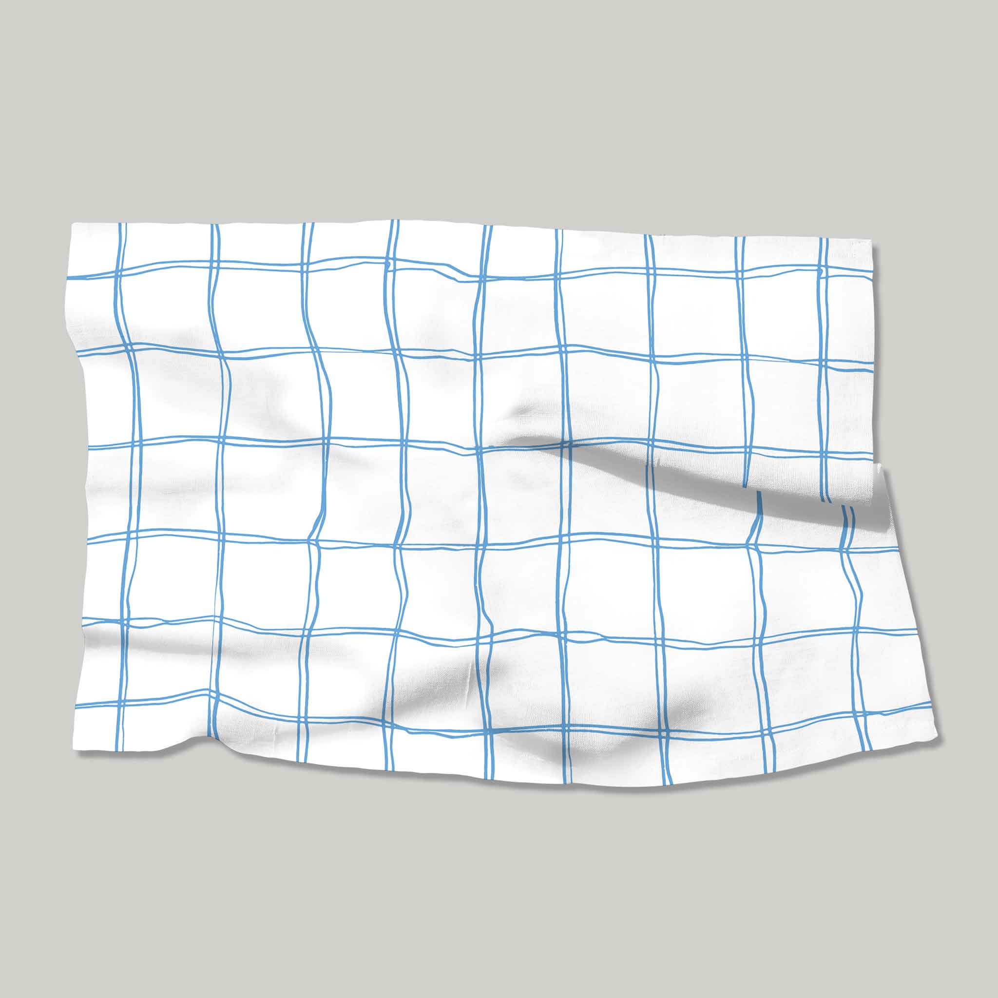 Blue and White Check | Placemats