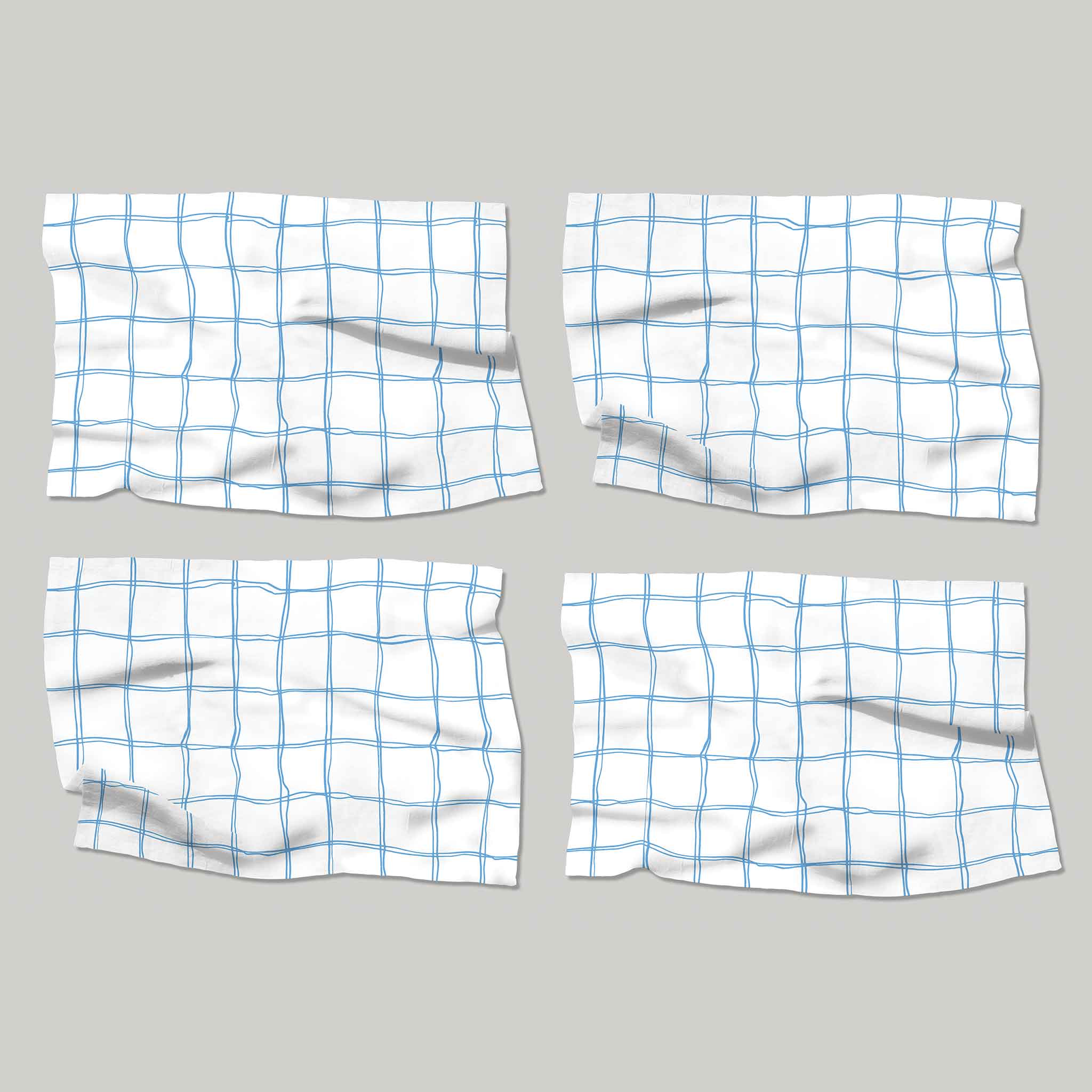 Blue and White Check | Placemats