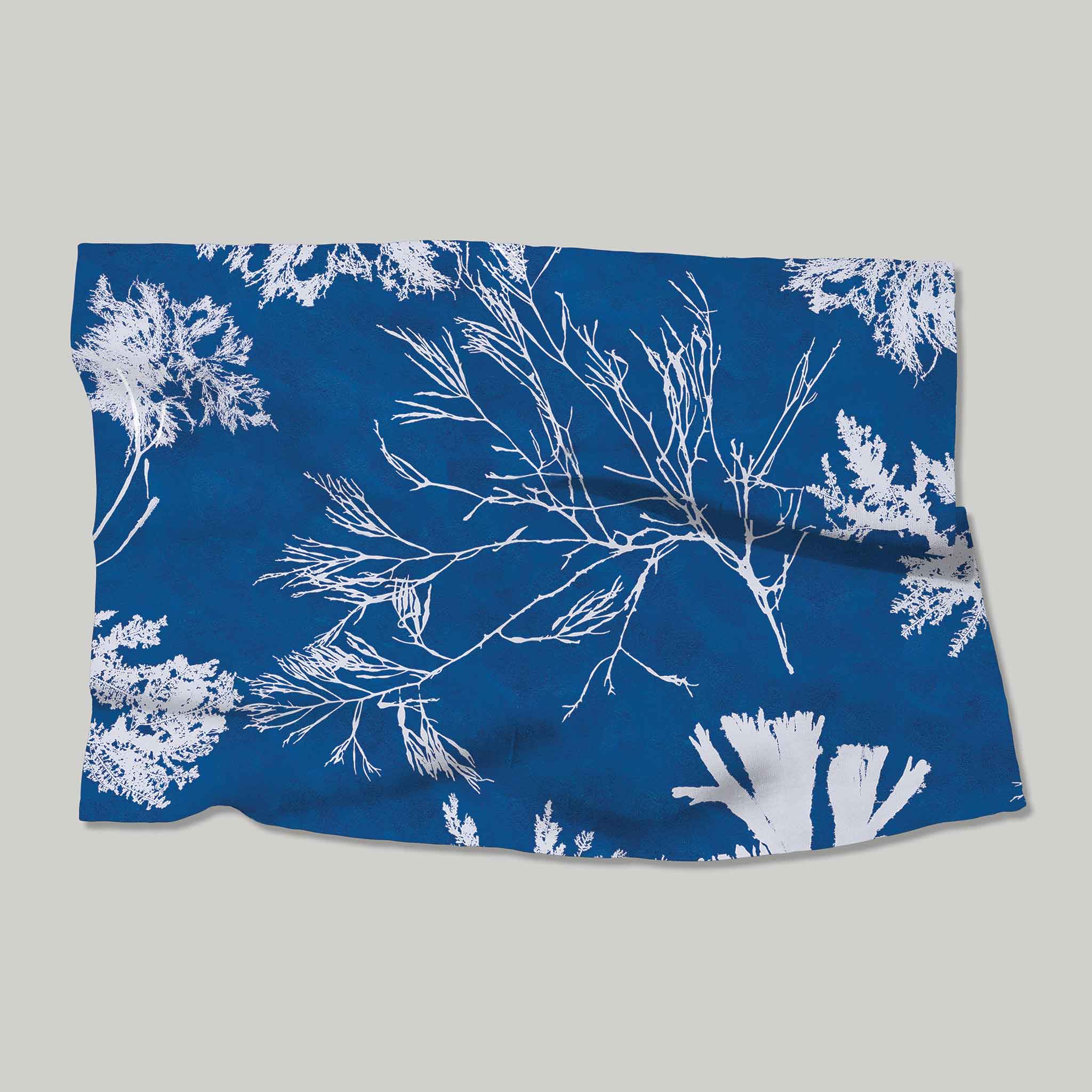 Cyanotype | Placemats