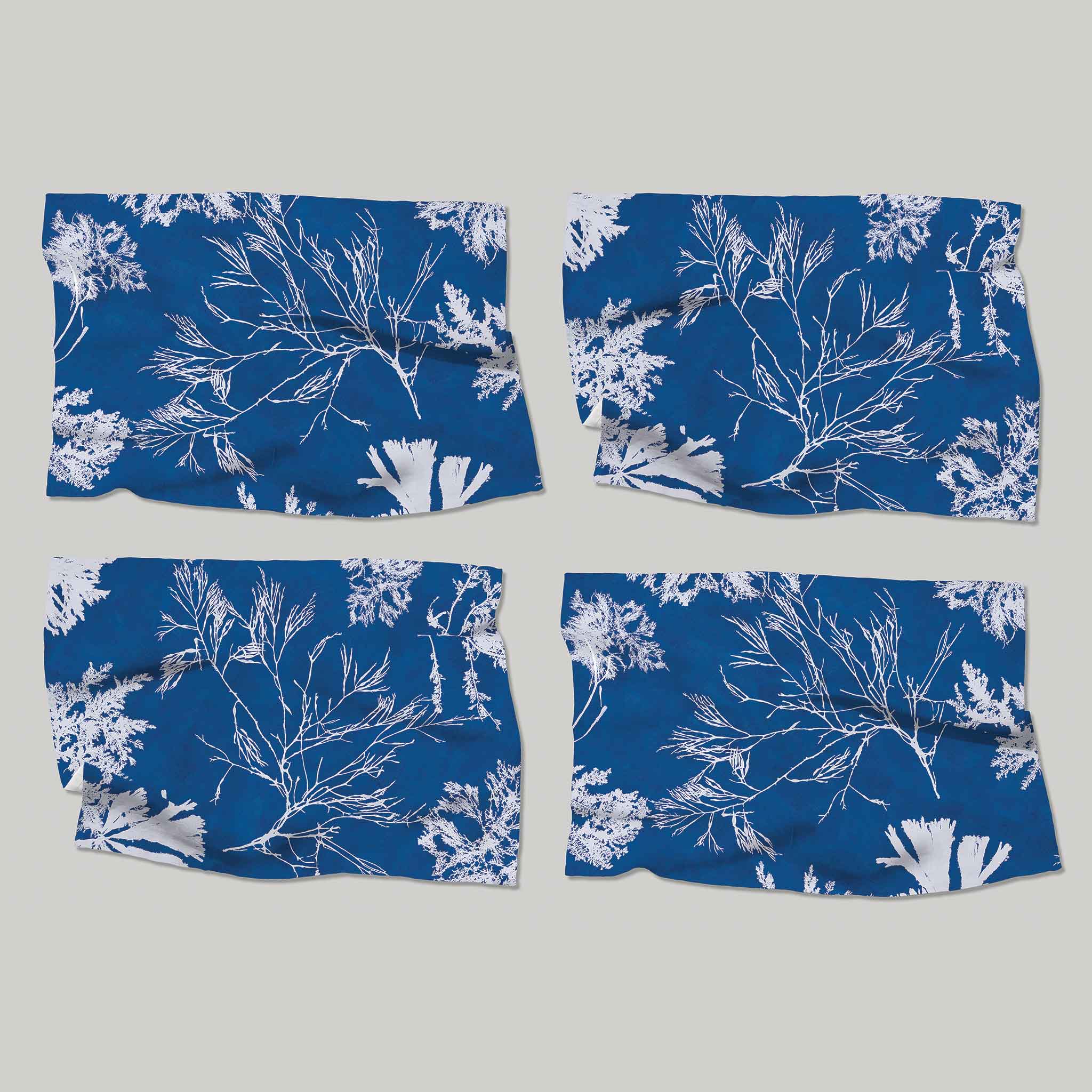 Cyanotype | Placemats
