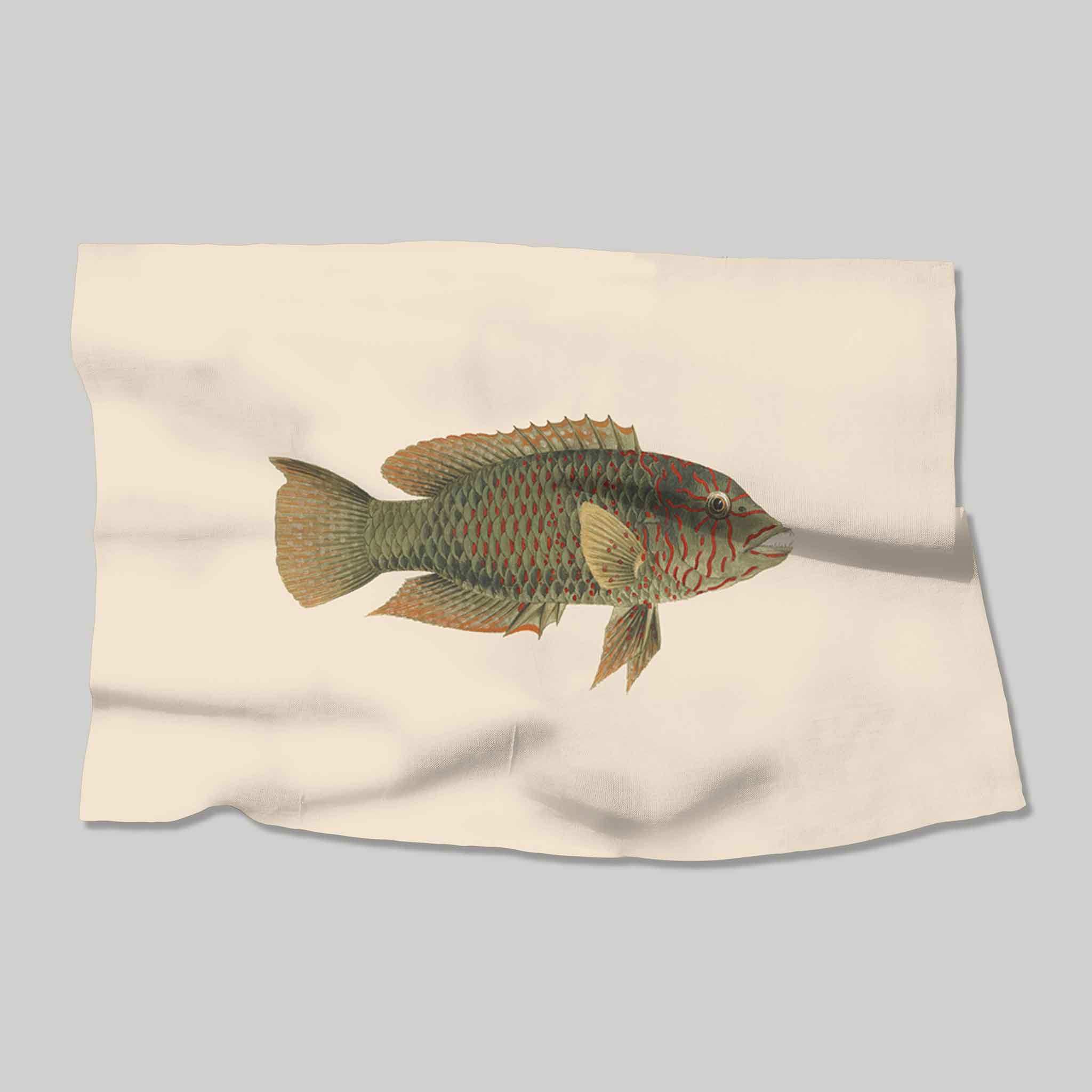 Fish Food | Placemats