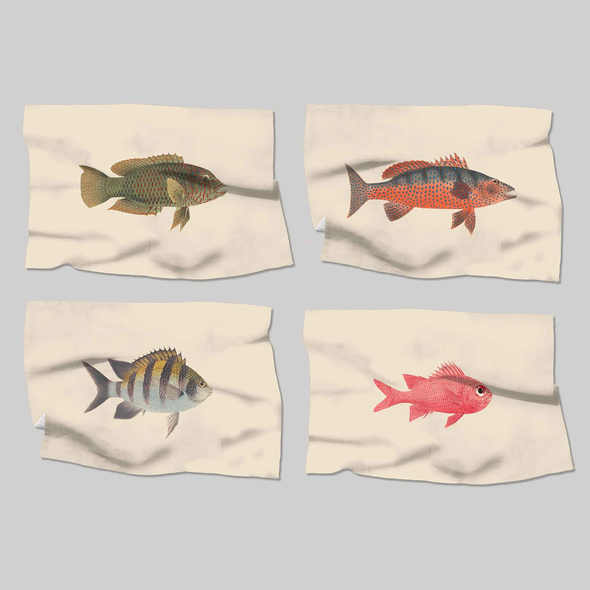 Fish Food | Placemats