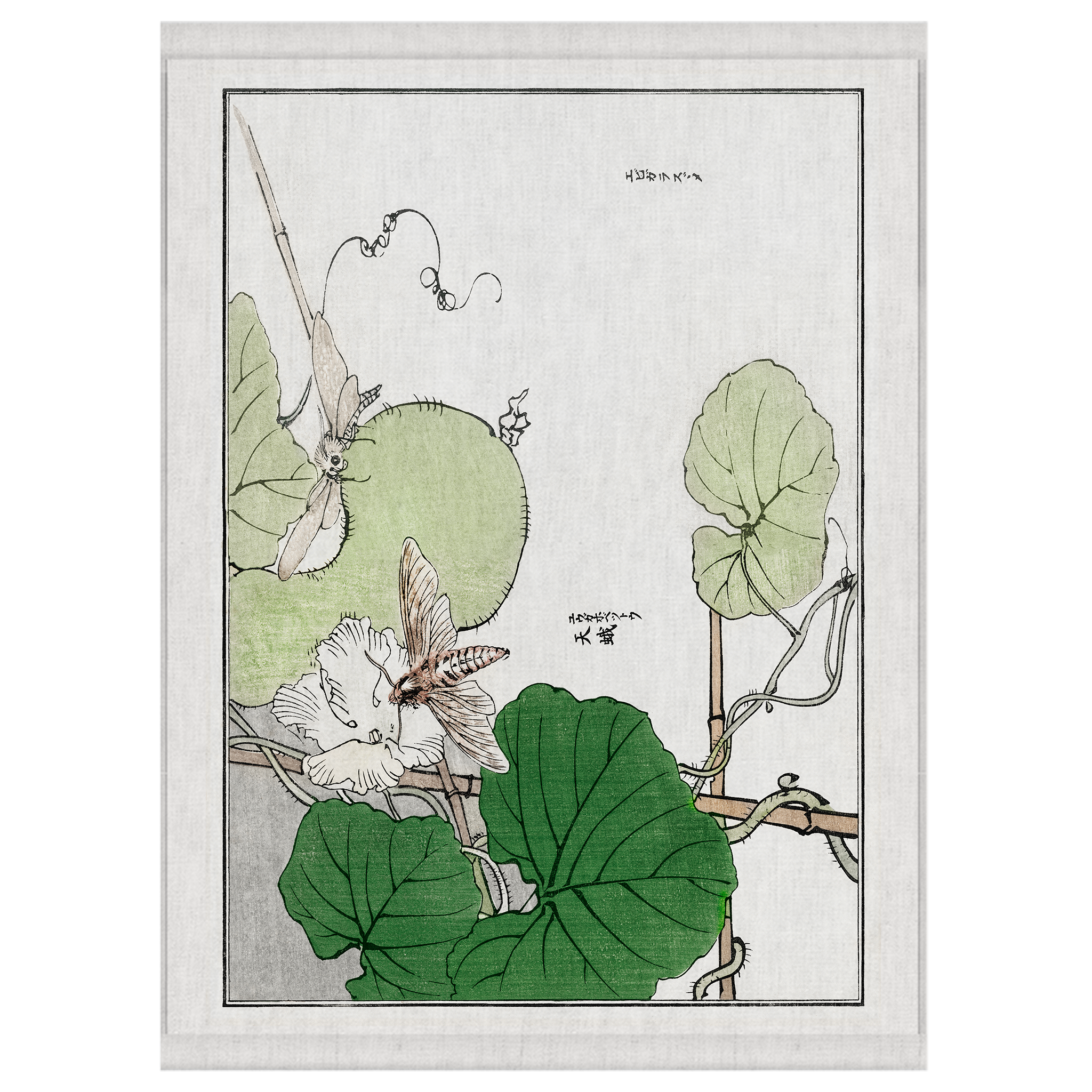 Fresh Catch | Wall Hanging