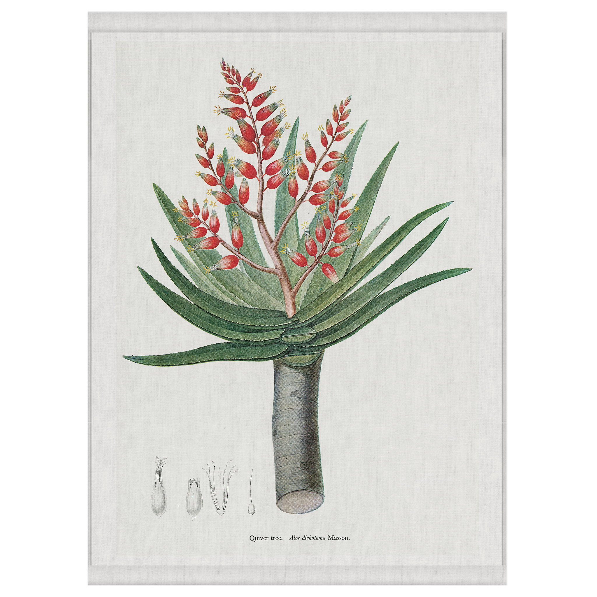 Quiver | Wall Hanging