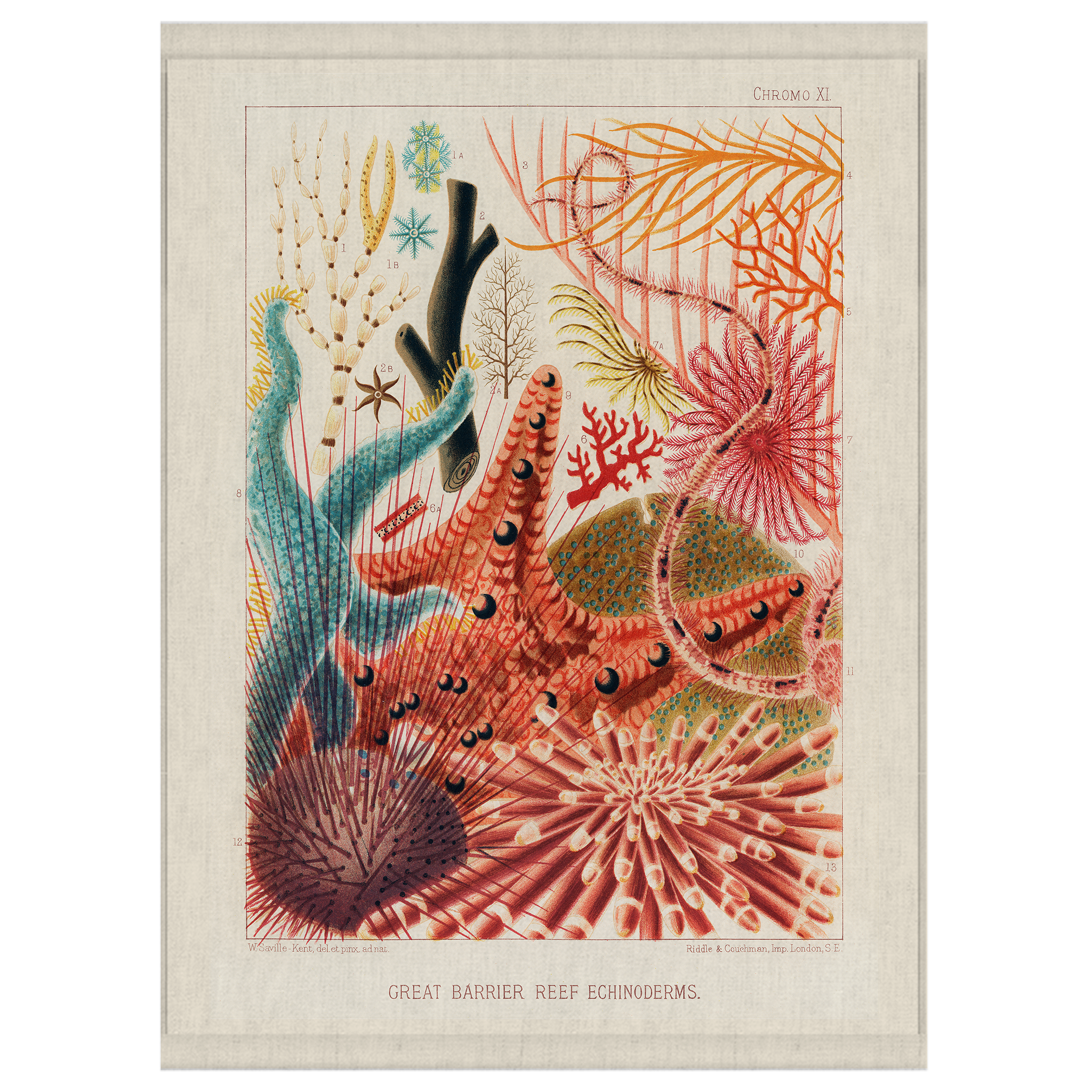 Symphony | Wall Hanging