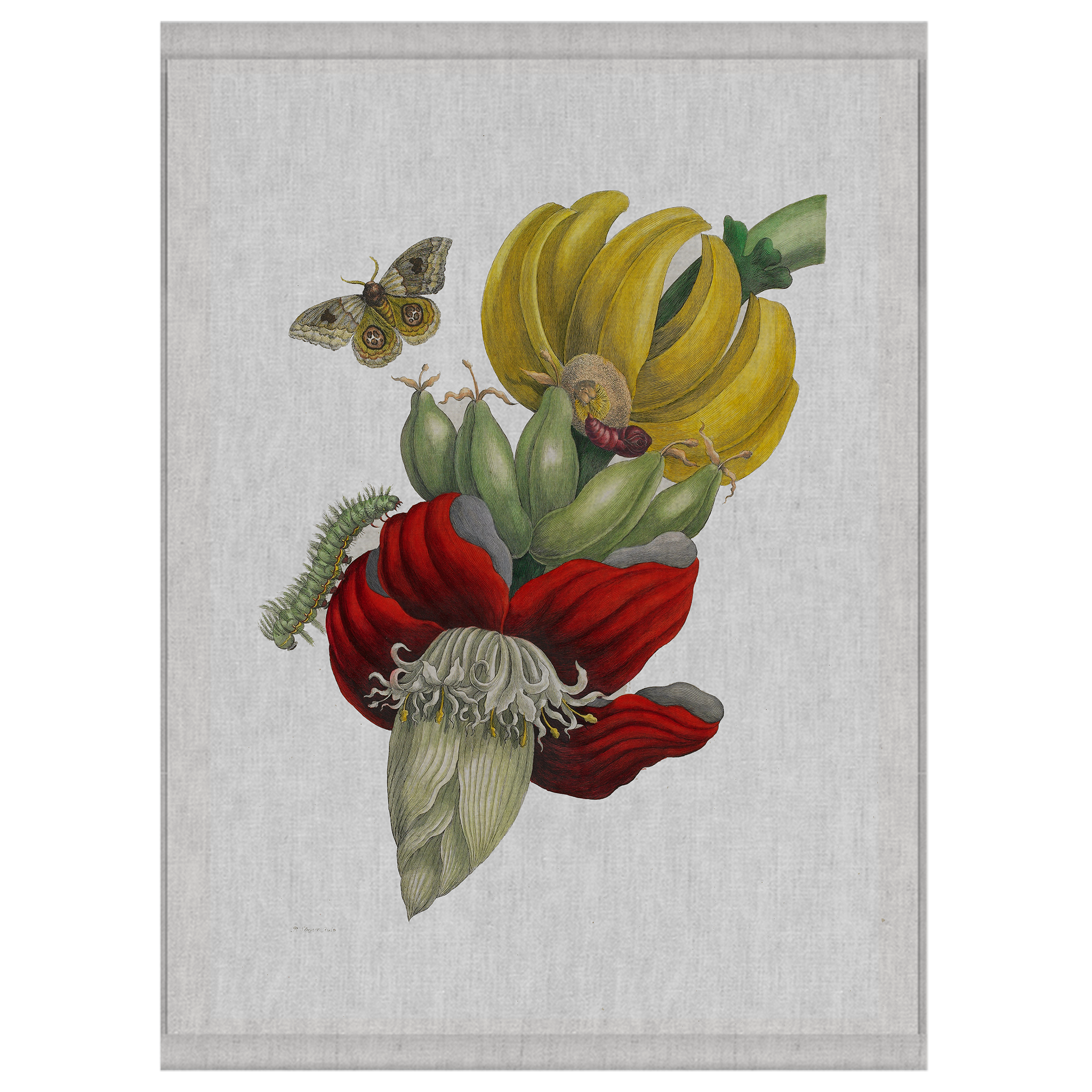 Nectar | Wall Hanging
