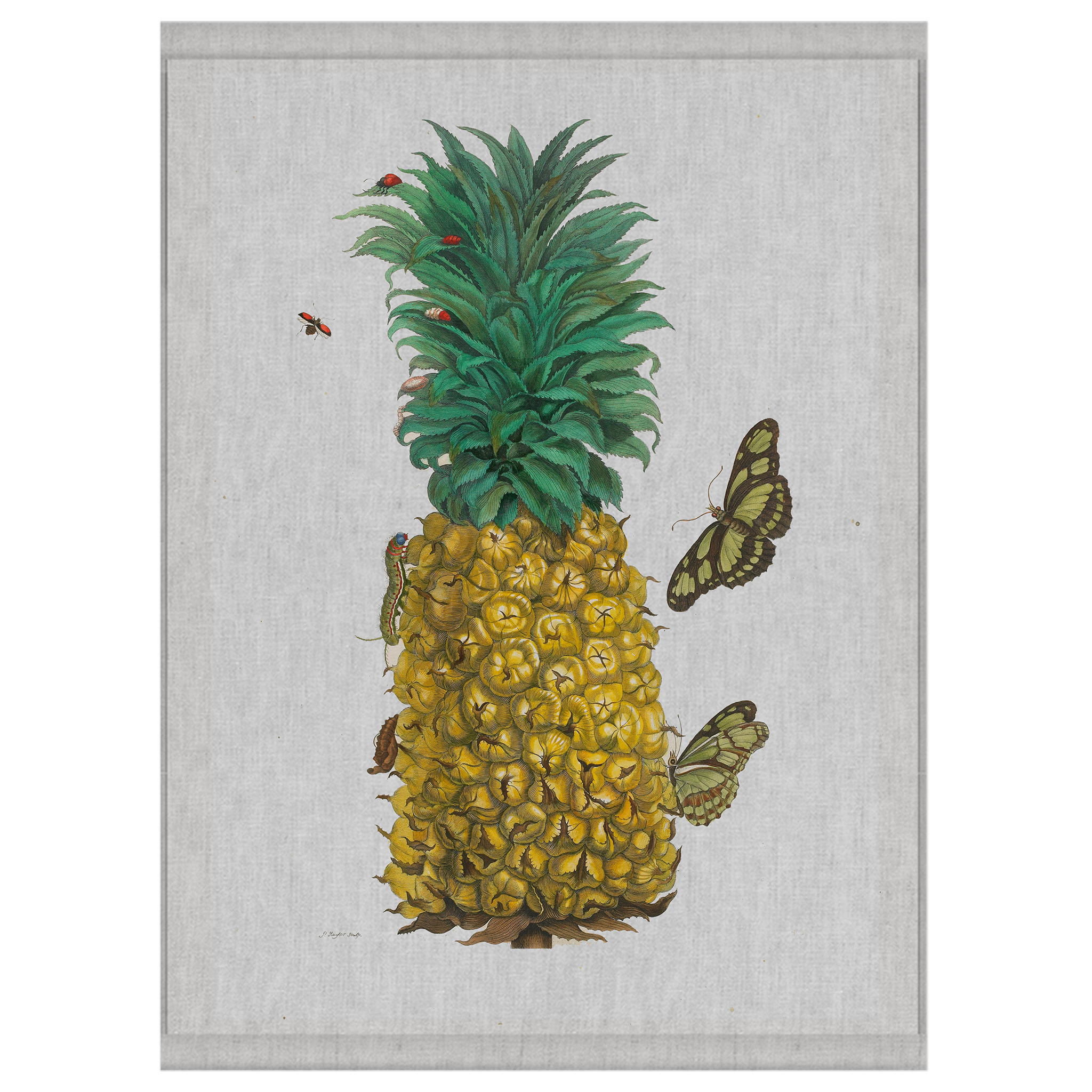 Pine | Wall Hanging