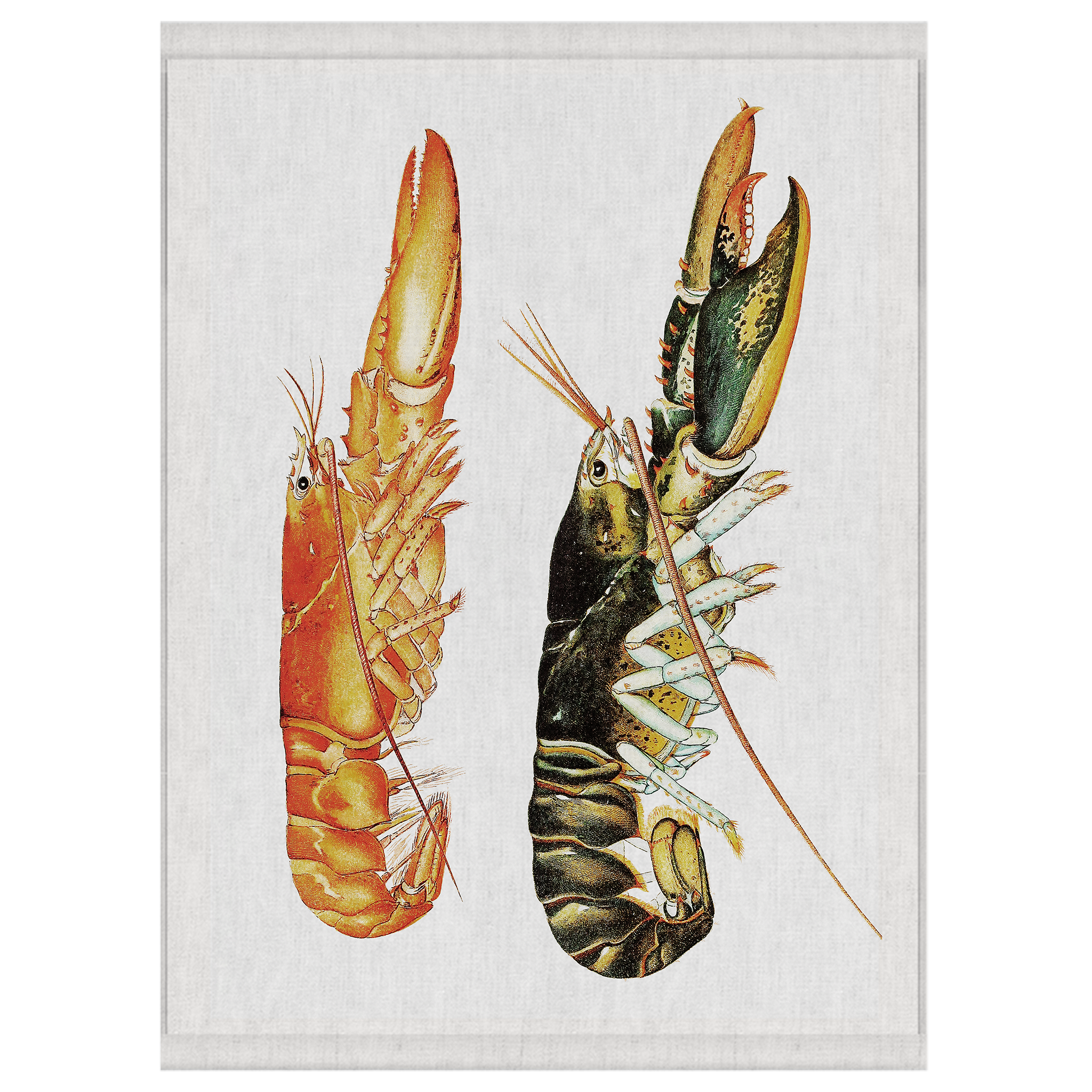 Snap | Wall Hanging