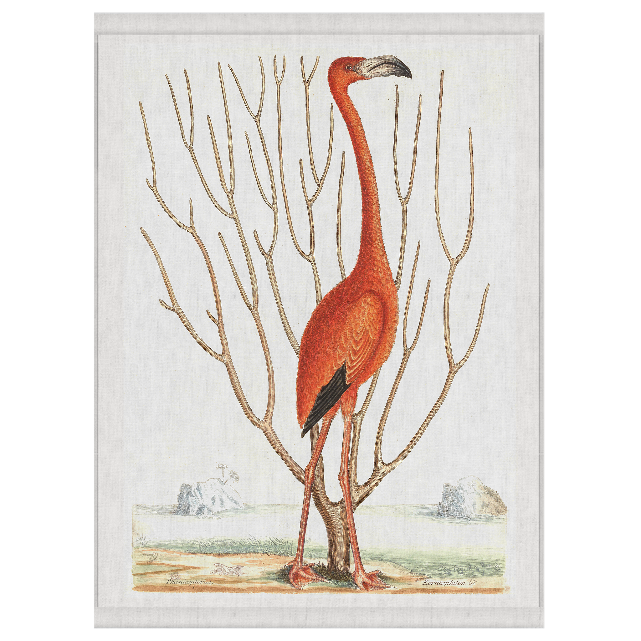 Coral Cove | Wall Hanging