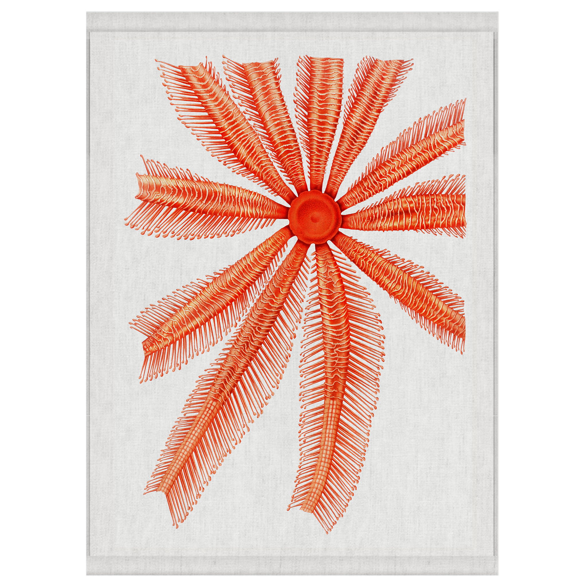 Close In | Wall Hanging
