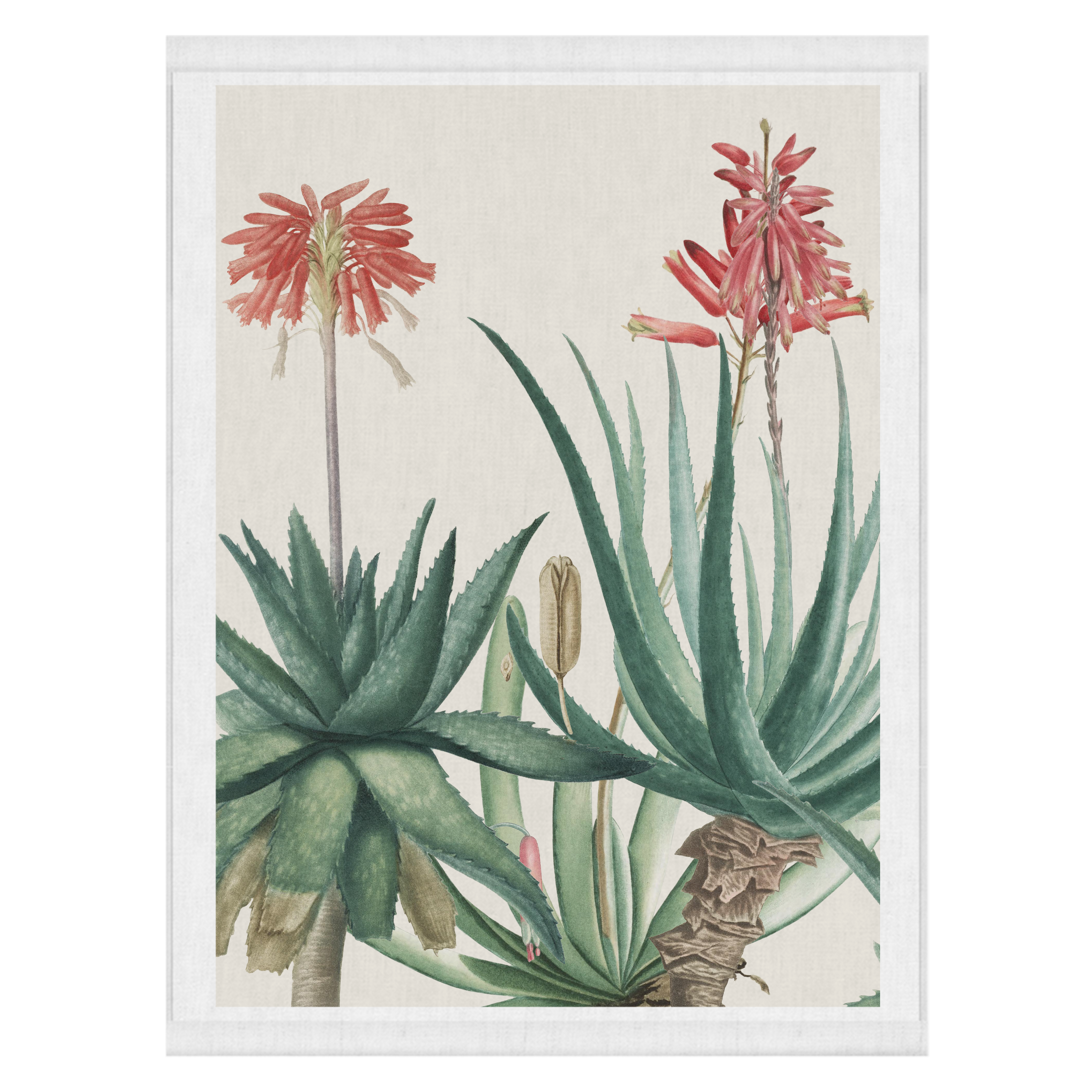 Medicine Man | Wall Hanging