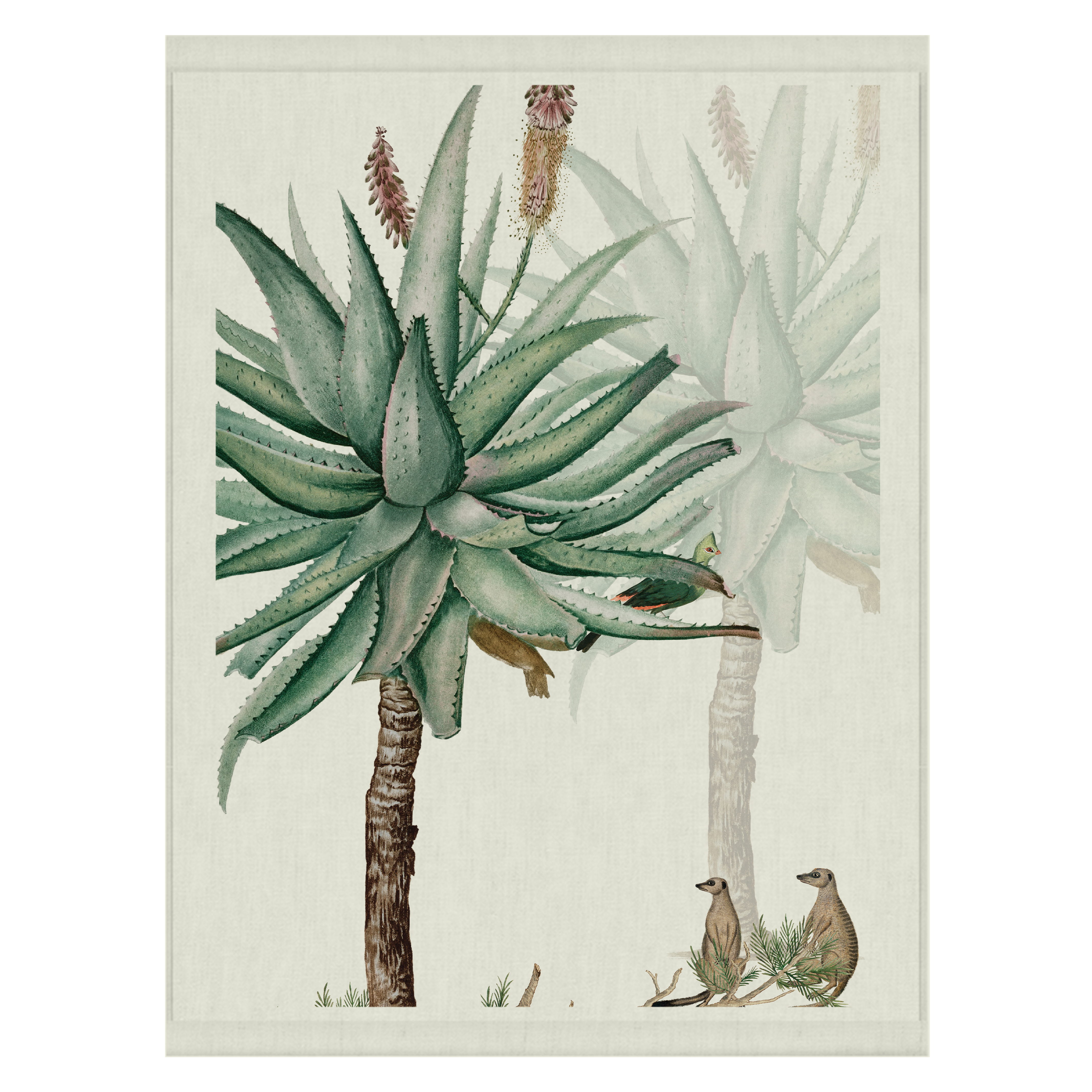 Meerkat Aloe | Wall Hanging