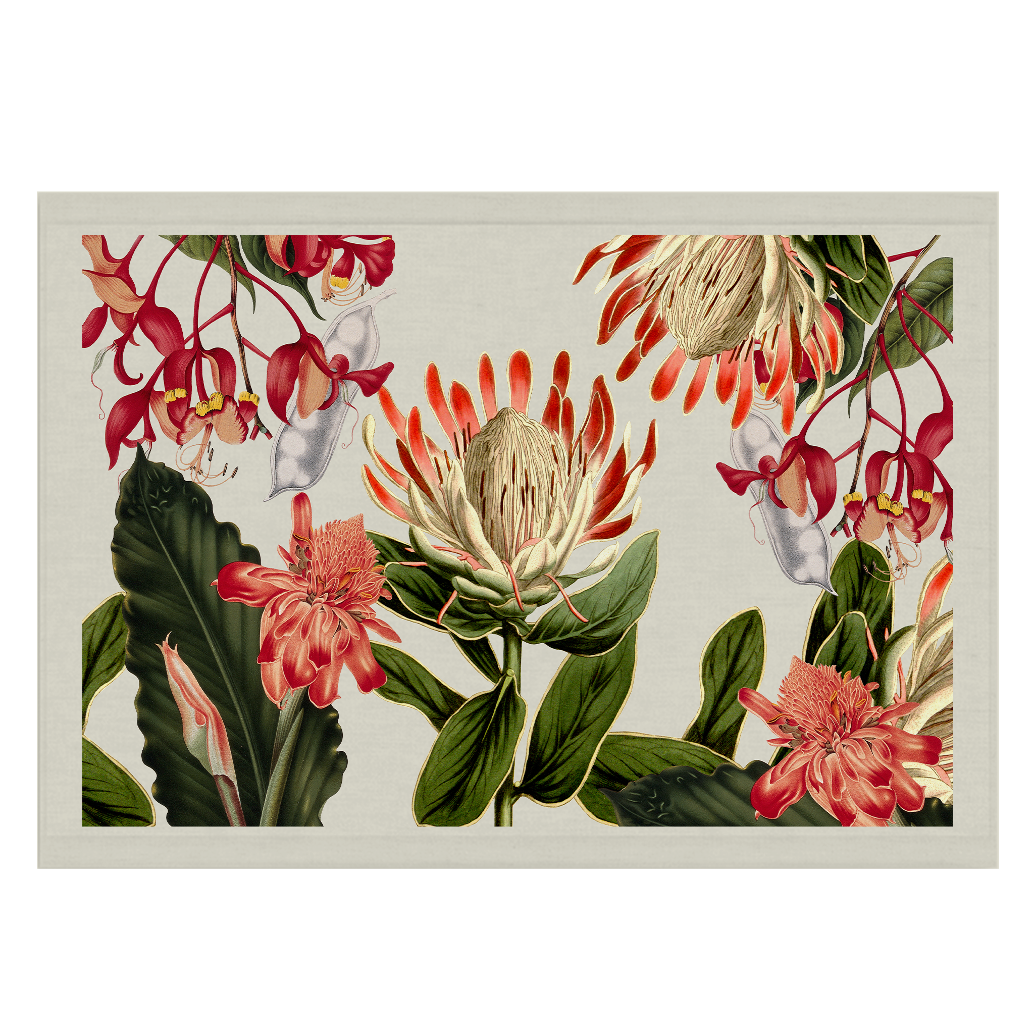 Protea & Co | Wall Hanging