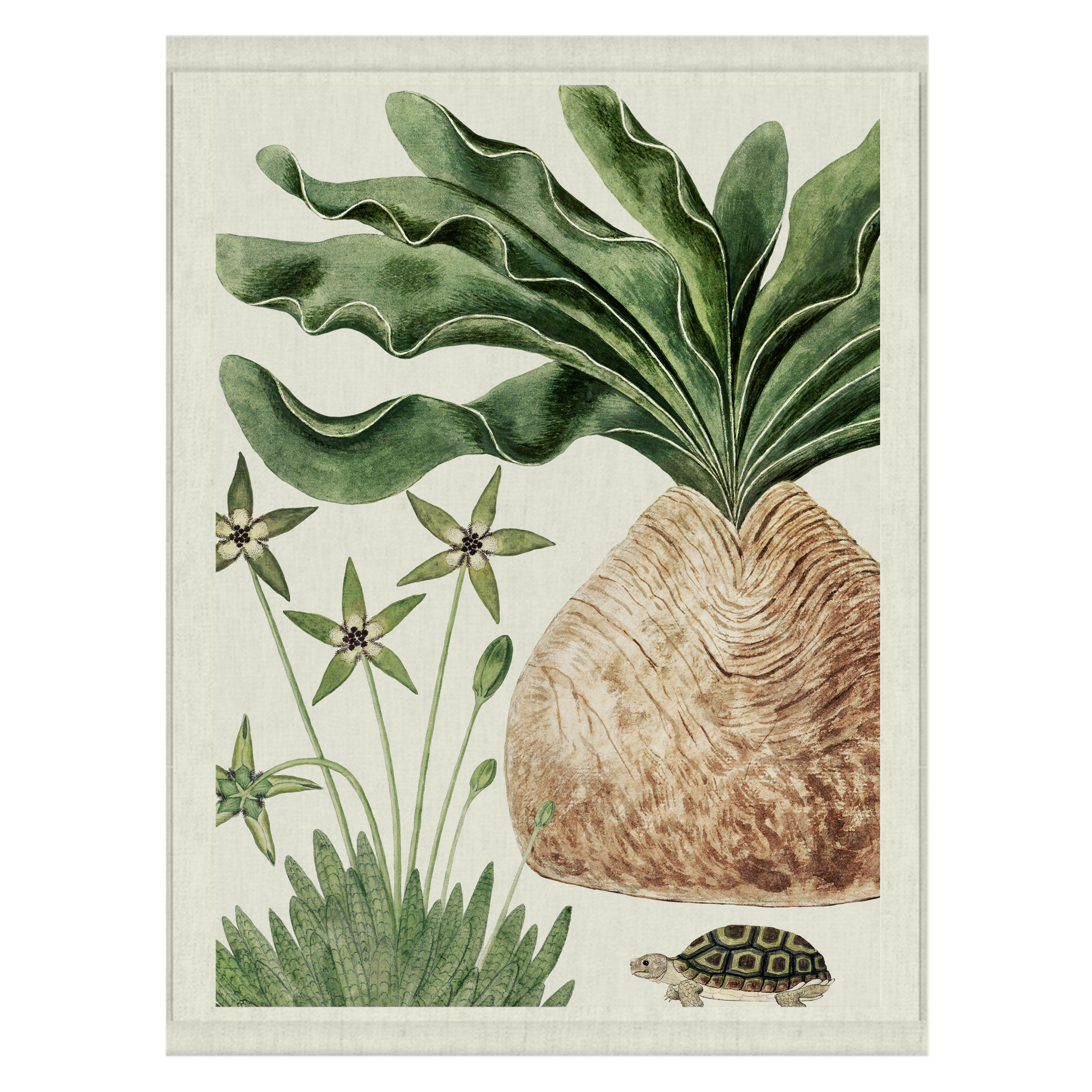 Slow Wins the Race | Wall Hanging