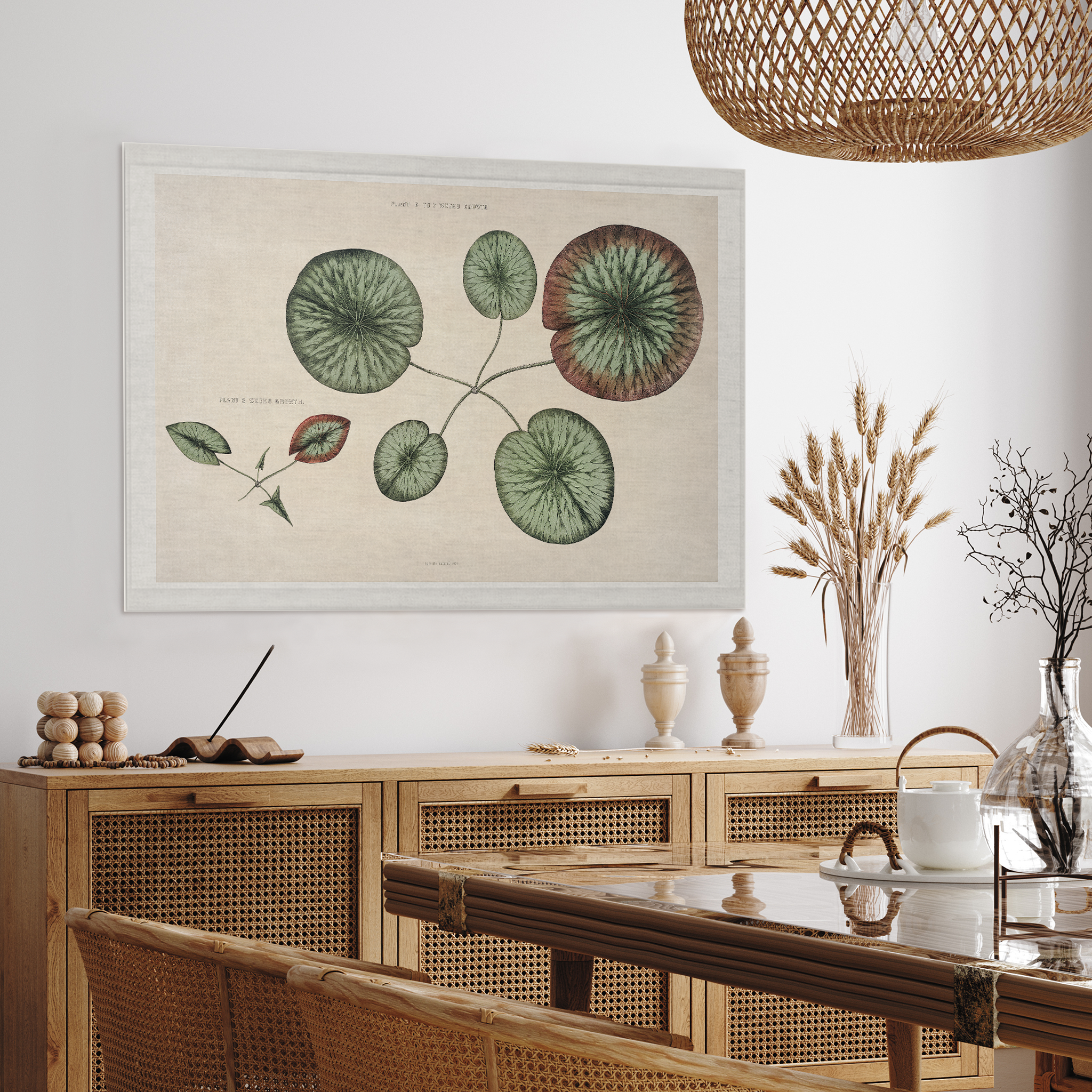 Lily Paddle | Wall Hanging